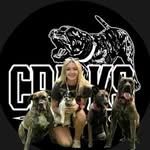 Amanda Redford | CPA K9 - @cpa.k9 - Instagram
