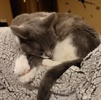 Amanda Reiff - Facebook