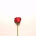Mandy J Relf - Facebook