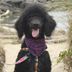 Amanda Renfro - Facebook