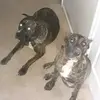 AmandaRichardson34 - @amanda_richardson36 - TikTok