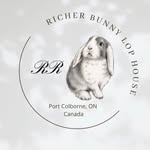 Amanda Richer - @richerbunnylophouse - Instagram