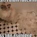 Amanda Rockefeller - Facebook