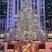 Amanda Rockefeller - Facebook