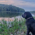 Amanda Rohr - @a_mcd_rohr - Instagram