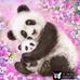 Amanda Roth - Facebook