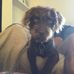 Amanda Rowley - Facebook