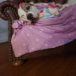 Amanda Rowley - @rowley7524 - Instagram