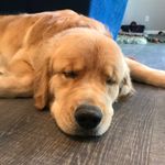 Amanda Rule - @rock_n_rimo - Instagram