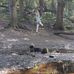 Amanda Elizabeth Salisbury - Facebook