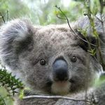 Amanda Salisbury - @amanda.salisbury.33 - Instagram