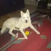 Amanda Salisbury - @amanda.salisbury - TikTok