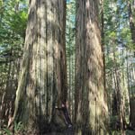 Amanda Salisbury Noel - @amandalnoel - Instagram