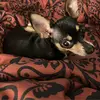 Amanda Salyers566 - @amandasalyers566 - TikTok