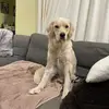 sammy_and_amanda - @sammy_and_amanda - TikTok
