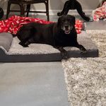 Amanda Samples Adamson - @amsamps - Instagram