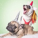 Amanda Samson - @slightmrsguidance - Instagram
