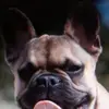 sandeamanda61 - @sandeamanda6127 - TikTok