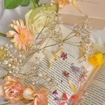 amandasandor - @bookssandor - Instagram