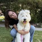 Amanda Sangermano - Facebook