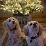 Amanda Fisher Sanner - Facebook