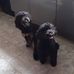 Amanda Sansom - Facebook