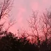 amandasantander71 - @amandasantander71 - TikTok