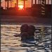 Amanda Collins - Facebook