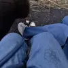 ️ - @amanda.lrc - TikTok