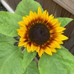 Amanda Sarchet - @asarchet311 - Instagram