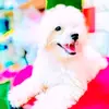 user1704154198141 - @amandaasare2 - TikTok