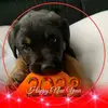 Amanda Sarich492 - @amandasarich1981 - TikTok