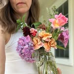 Amanda Baxter - @amandasarrangements - Instagram