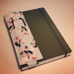 Amanda Sarrazin - @simplebujolife - Instagram