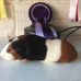Mandy Satchell - Facebook