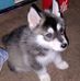 Mandy Renee Sadler - Facebook
