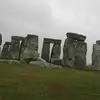 amandasauros - @amandasauros - TikTok