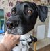 Amanda Saville - Facebook