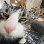 Amanda Sawicki Broder - @abroder14 - Instagram