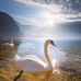 Mandy Sawicki - Facebook