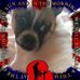 Mandy Sawicki - Facebook