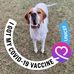 Amanda Scanlan - Facebook