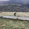 Amanda Scannell - @amanda.scannell6 - TikTok