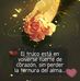 Serrano Amanda - Facebook