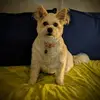 Amanda Scarbrough - @user041622166 - TikTok