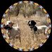 Amanda Schaaf - Facebook