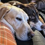 Amanda Schaaf - @schaaf6 - Instagram