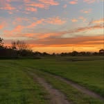 Amanda Schaaf - @amsku41lammas - Instagram
