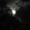 Amanda Schaal - @i.am.mom3 - TikTok