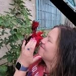 Amanda Schaeffer - @schaeffersbride1 - Instagram